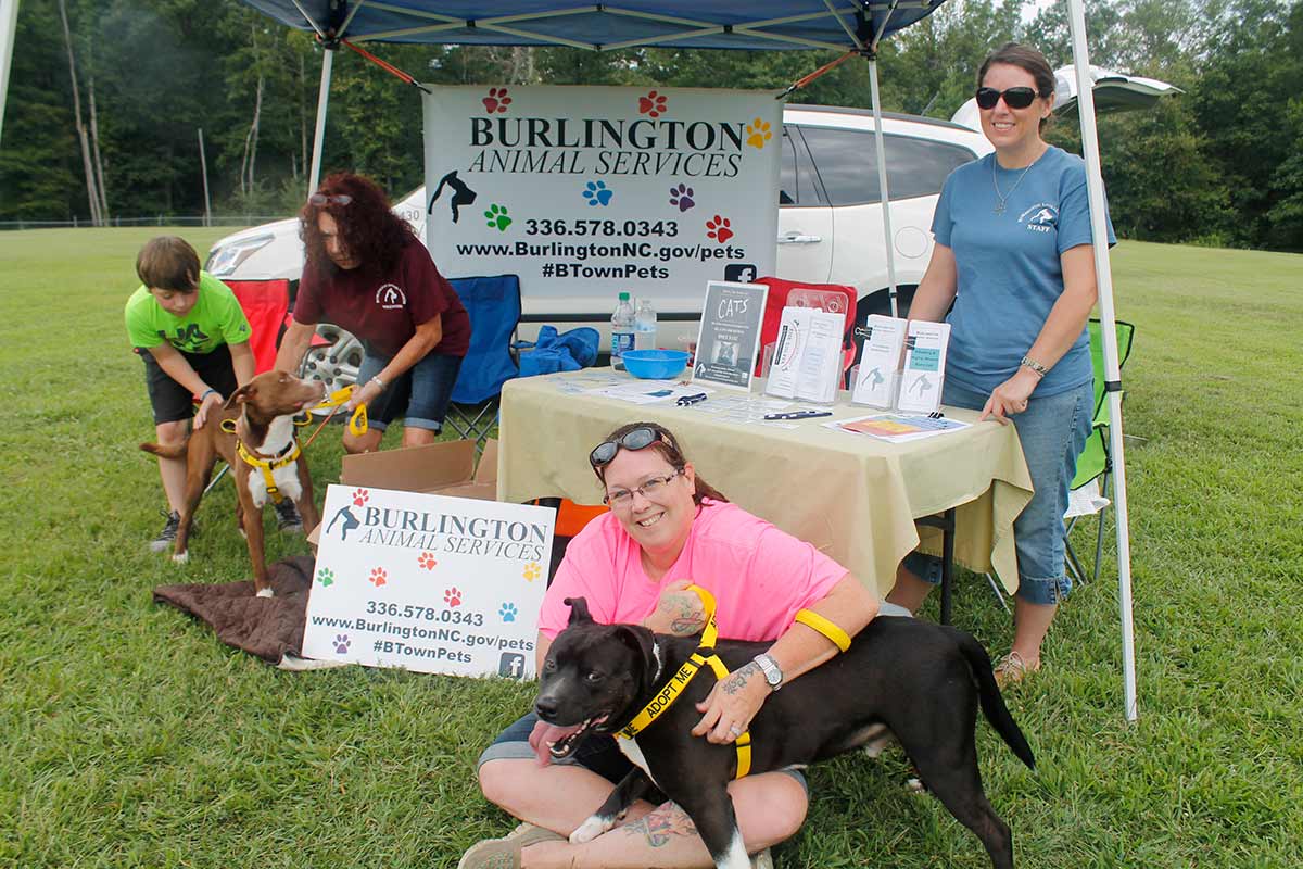 _burlington-animal-services-holding-dogs | Town of Green Level, North  Carolina